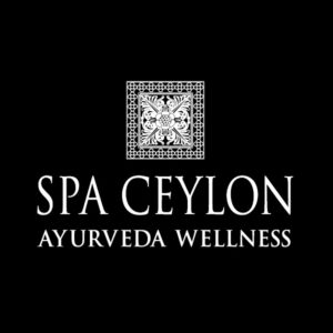 logo-icon